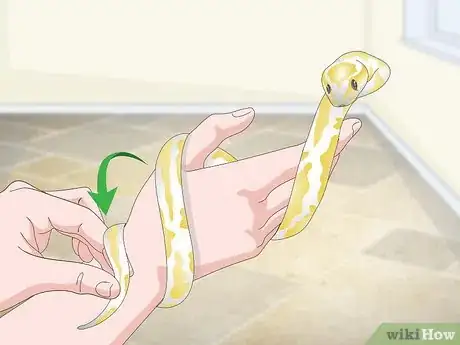 Image titled Build a Relationship with Your Snake Step 8