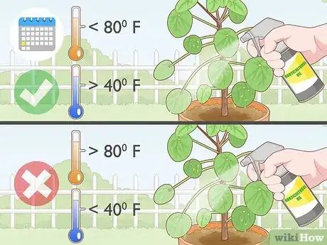 Image titled Avoid Mealybugs Step 11