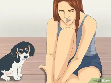 Image titled Get Your Puppy to Stop Biting Step 1