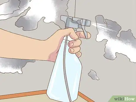 Image titled Clean White Mold Step 10