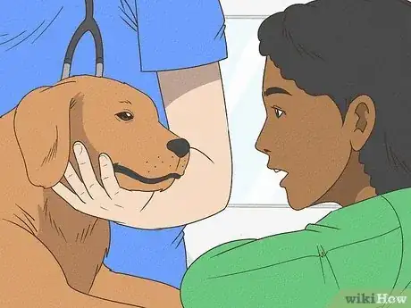 Image titled Tell if Your Dog Is Having a Medical Emergency Step 21