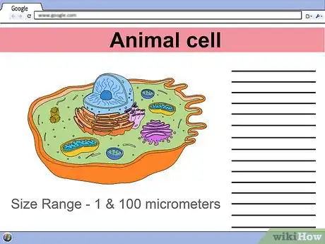 Image titled Make a Model Cell Step 3