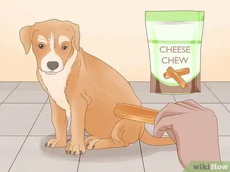 Image titled Stop a Dog from Chewing Its Paws Step 3