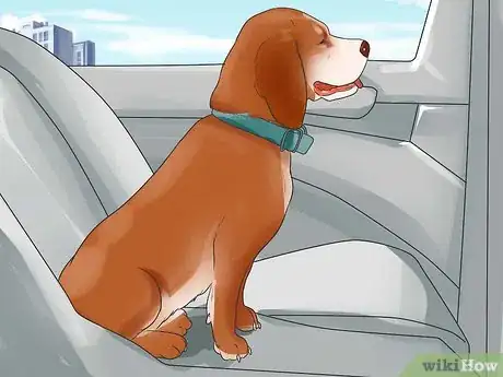 Image titled Deal With Your Dog's Fear of Vehicles Step 14