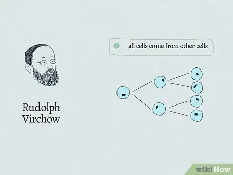 Image titled What Are the 3 Parts of the Cell Theory Step 12