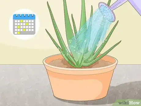 Image titled Prevent Aloe Vera Leaves from Turning Brown Step 3