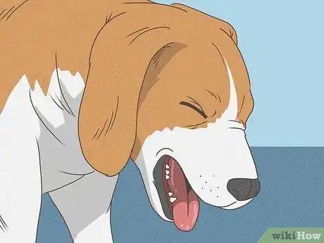 Image titled Know When Your Dog is Sick Step 15