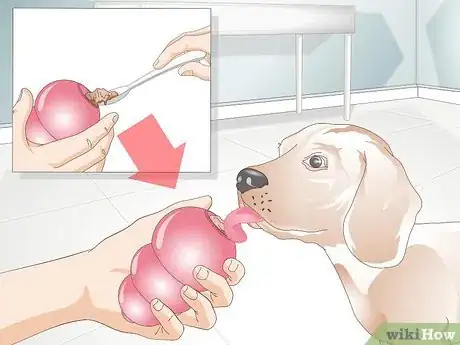 Image titled Stop a Dog from Licking Everything Step 8