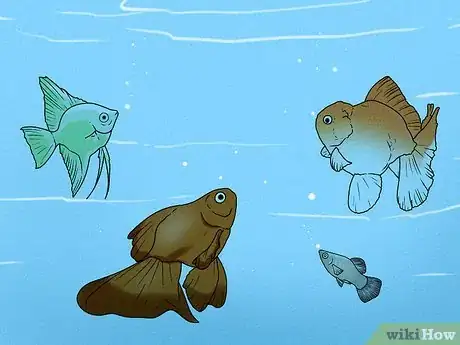 Image titled Feed Fish Step 12