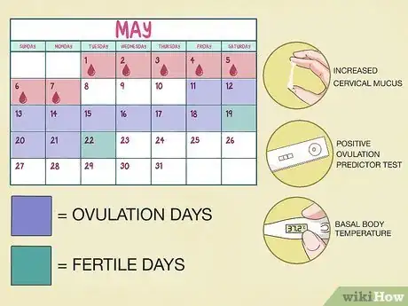 Image titled Use a Fertility Calendar Step 4