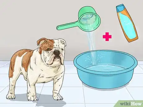 Image titled Clean a Bulldog's Face Folds Step 1