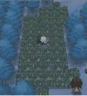 Level up Pokémon in Pokémon Black and White