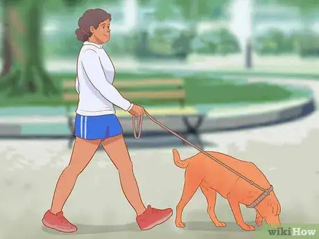 Image titled Introduce a Dog to a Dog Park Step 11