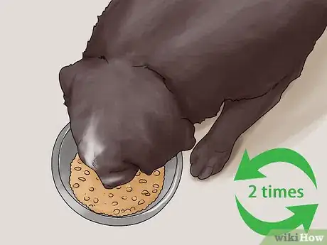 Image titled Take Care of Your Dog's Basic Needs Step 8