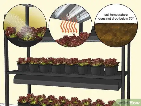 Image titled Design a Successful Indoor Garden Step 8