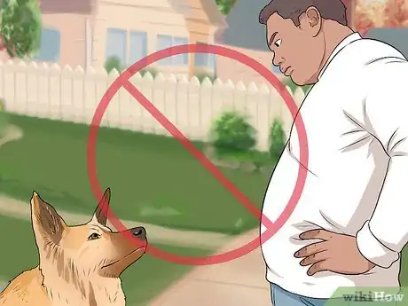 Image titled Tell if a Dog Is Going to Attack Step 5