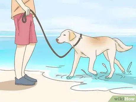 Image titled Wash a Dog Afraid of Water Step 10