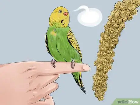 Image titled Teach Parakeets to Talk Step 5