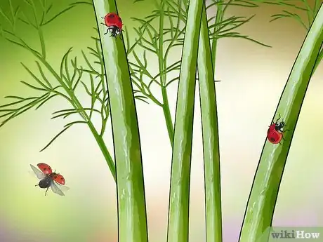 Image titled Attract Ladybugs Step 3