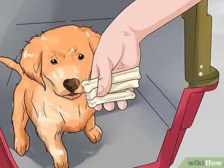 Image titled Train a Golden Retriever Puppy Step 29