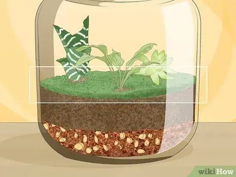 Image titled Grow a Garden in a Bottle Step 12