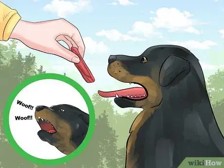 Image titled Train a Rottweiler to Be a Guard Dog Step 17