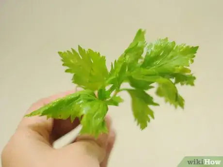 Image titled Use Celery Step 6