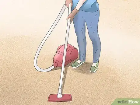 Image titled Get Rid of Fleas and Ticks in Your Home Step 3