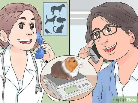 Image titled Get Your Guinea Pig to Lose Weight Step 4