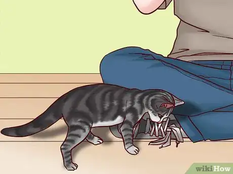 Image titled Speak Cat Step 10