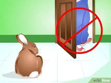 Image titled Deliver Oral Medication to Rabbits Step 4