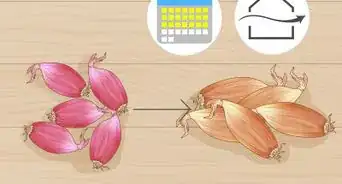 Grow Shallots