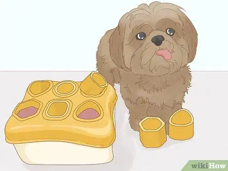 Image titled Identify a Shih Tzu Step 12