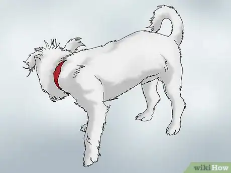 Image titled Recognize Signs of Hip Dysplasia in Dogs Step 12