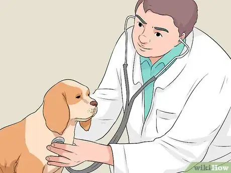 Image titled Treat a Dog with a Cold Step 10