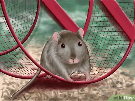 Image titled Make Your Gerbil Happy Step 3