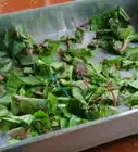 Cook Beet Greens