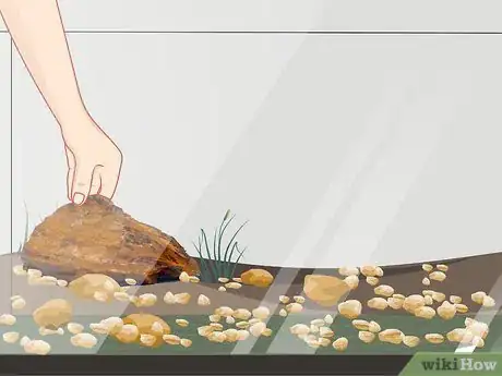 Image titled Create a Terrarium for an American Toad (Bufor Americanus) Step 4