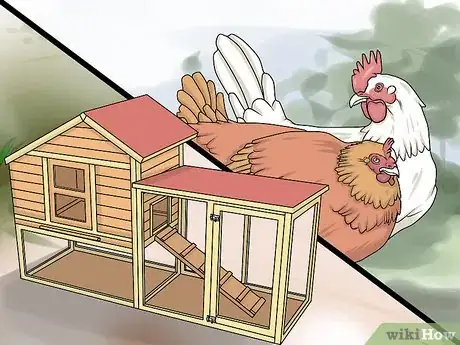 Image titled Take Care of Chickens Step 11