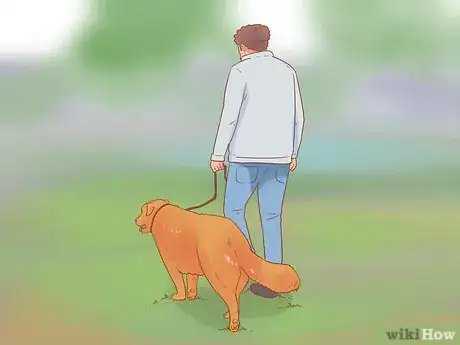 Image titled Introduce a Dog to a Dog Park Step 20