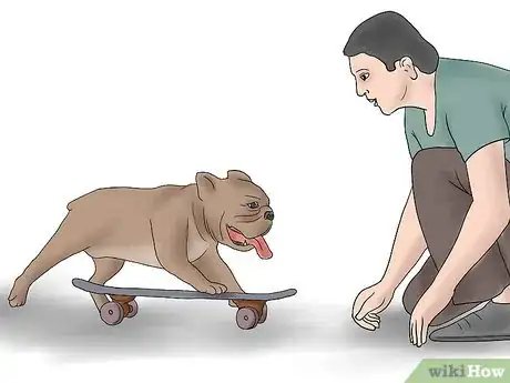 Image titled Teach a Bulldog to Skateboard Step 2