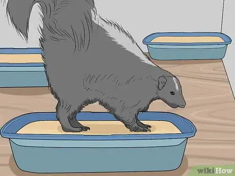 Image titled Take Care of a Pet Skunk Step 3