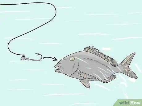 Image titled Catch a Porgy Step 14