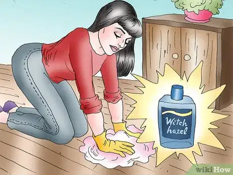 Image titled Perform a Cleaning Ritual Step 3.jpeg