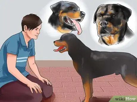 Image titled Train a Rottweiler Step 2