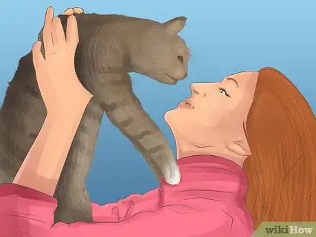 Image titled Know if Your Cat Has Kidney Issues Step 6