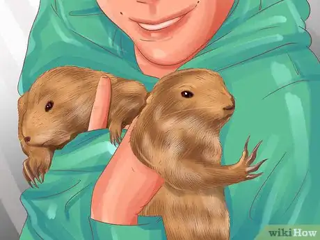 Image titled Buy Prairie Dogs Step 12