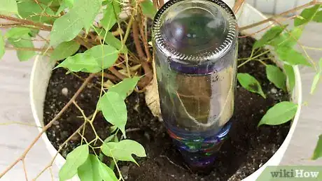 Image titled Make Wine Bottle Plant Waterer Step 29