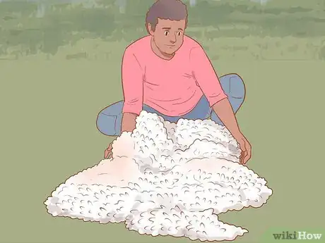 Image titled Shear a Sheep Step 15