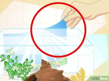 Image titled Make a 5 Gallon Aquarium Interesting Step 17